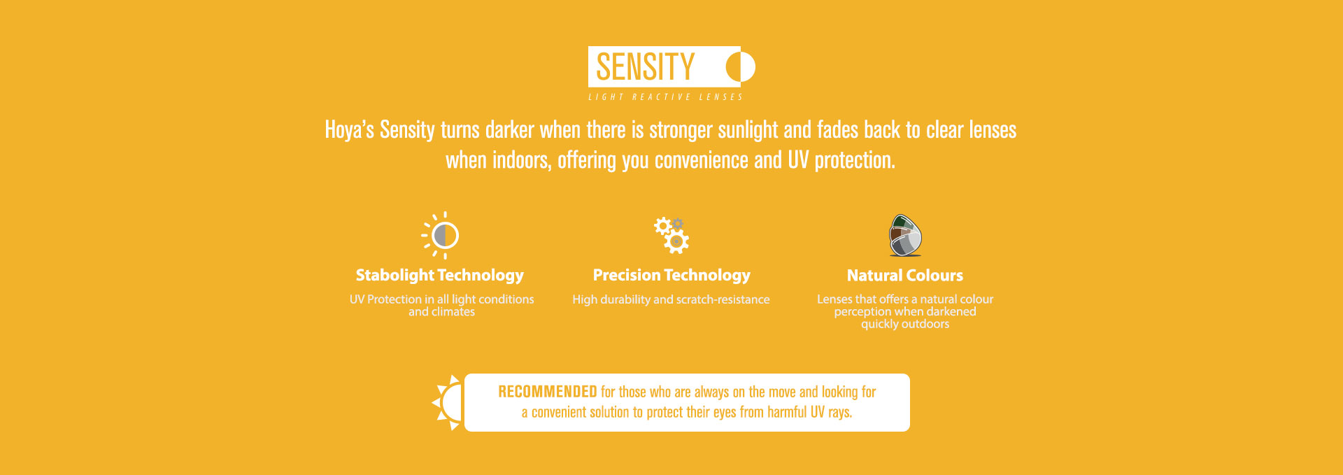 Sensity Description Banner